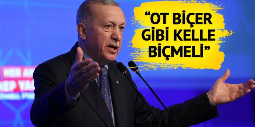 Yeni Şafak yazarından ses getiren Erdoğan yazısı!
