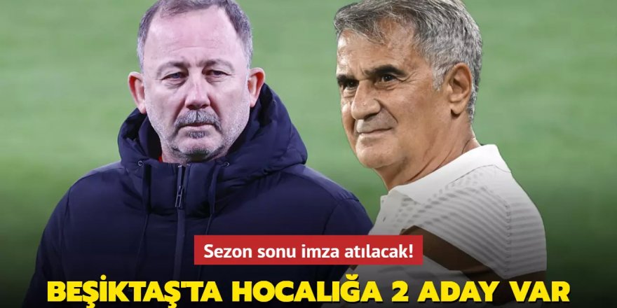 Beşiktaş'ta hocalığa 2 aday var!