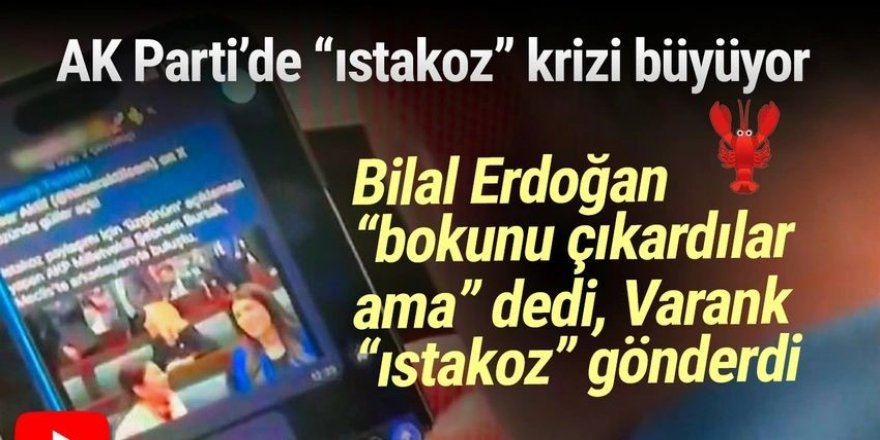 Bilal Erdoğan’la AK Partili Varank’ın ''ıstakoz'' sohbeti kamerada: ''Bokunu çıkardılar''