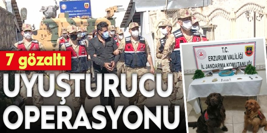 Erzurum jandarmasından uyuşturucu satıcılarına darbe