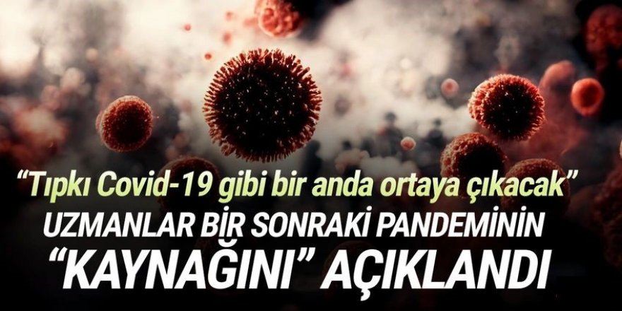 Bilim insanları bir sonraki pandeminin ''kaynağını'' açıkladı