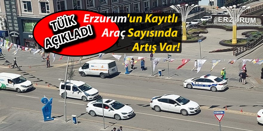 Erzurum'da kaç motorlu taşıt var?