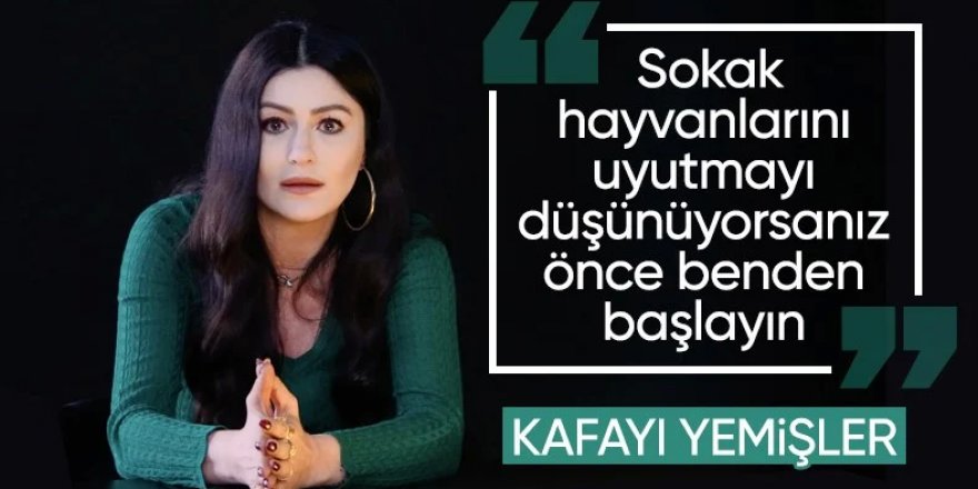 Deniz Çakır'dan sokak hayvanları yorumu: İlk beni uyutun