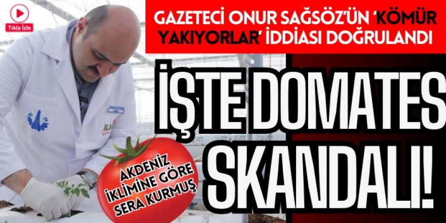 Aziziye Belediyesini batıran domates: Gerçekler gün gibi ortaya çıktı!