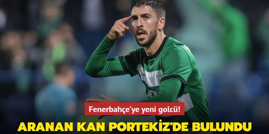 Fenerbahçe'ye yeni golcü! Aranan kan Portekiz'de bulundu