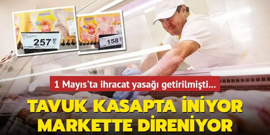 Tavuk kasapta iniyor, markette direniyor