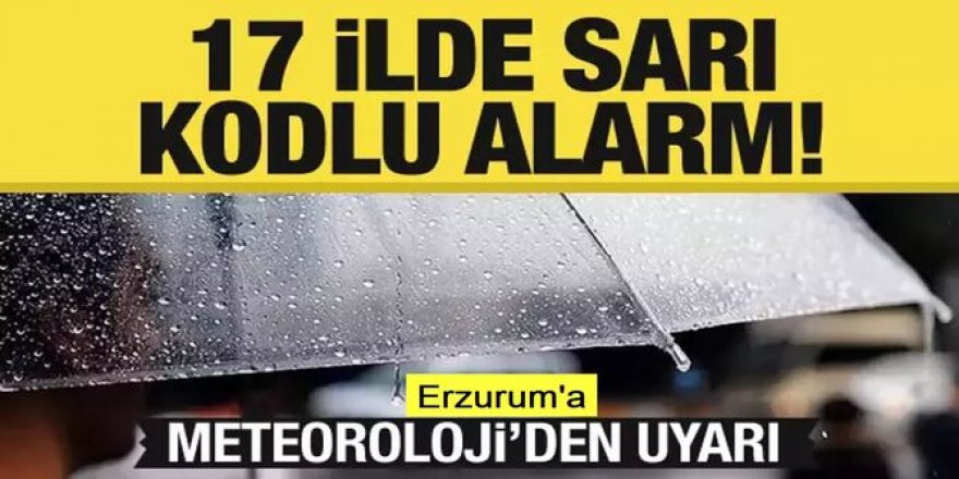 Meteoroloji'den Erzurum ve 16 ile sağanak uyarısı
