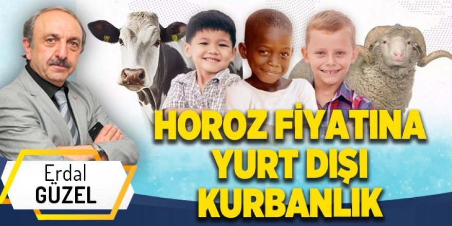 HOROZ FİYATINA YURT DIŞI KURBANLIK