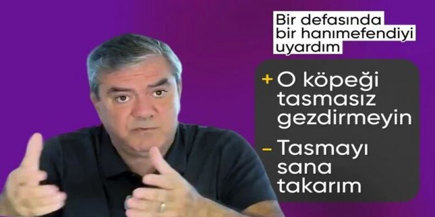 Yılmaz Özdil'in köpek sahibi kadınla diyaloğu