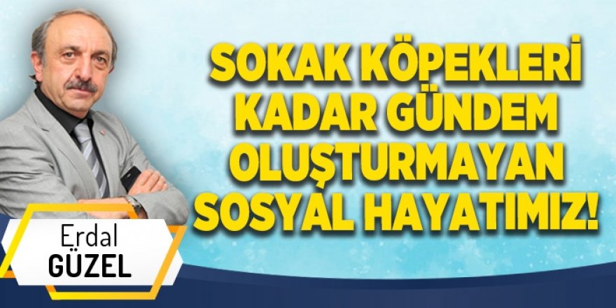 SOKAK KÖPEKLERİ KADAR GÜNDEM OLUŞTURMAYAN SOSYAL HAYATIMIZ!