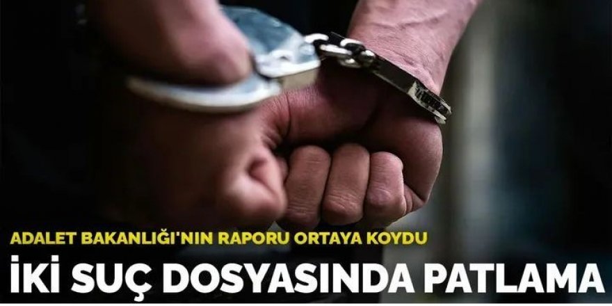 Erzurum'da Suç dosyaları artıyor