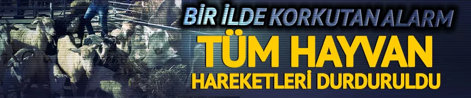 Bir ilde şap alarmı!