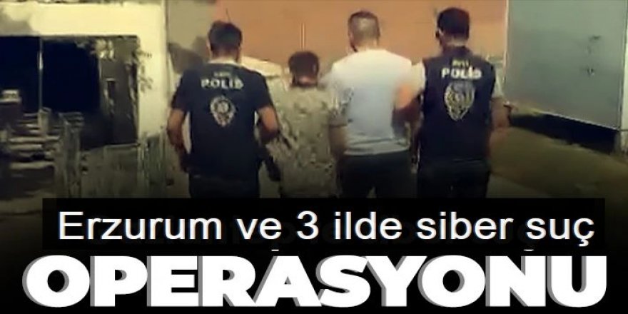 Erzurum ve 3 ilde siber suç operasyonu
