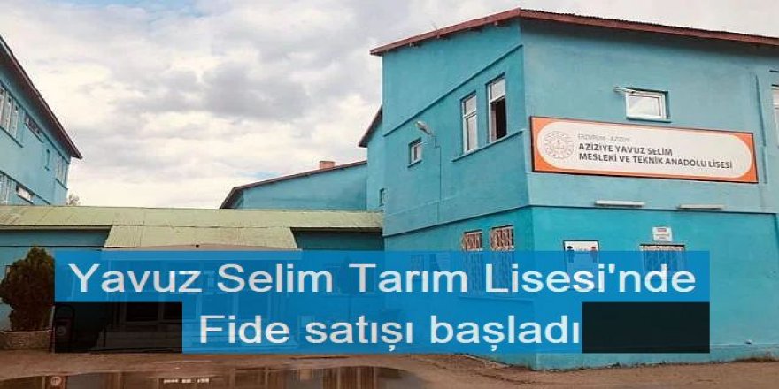 Yavuz Selim Tarım Lisesi'nde fide satışı başladı