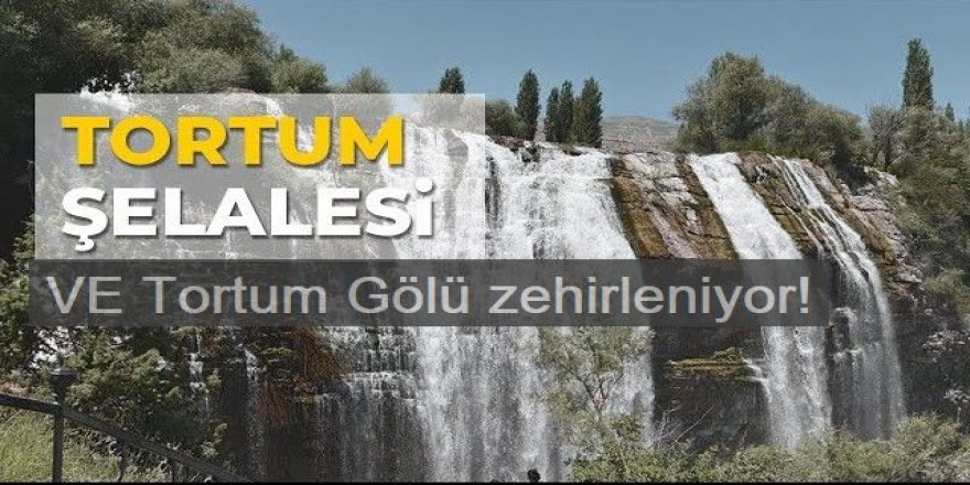 Tortum Gölü ve şelale zehirleniyor!