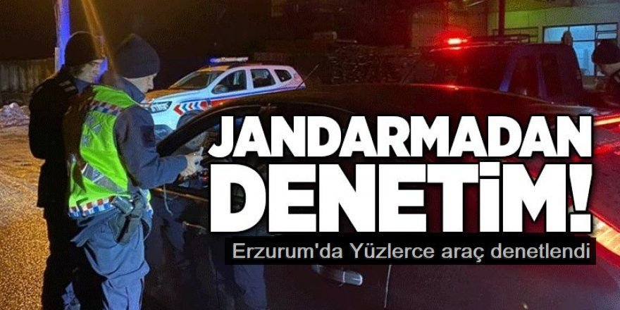 Erzurum'da 176 araç trafikten men edildi!