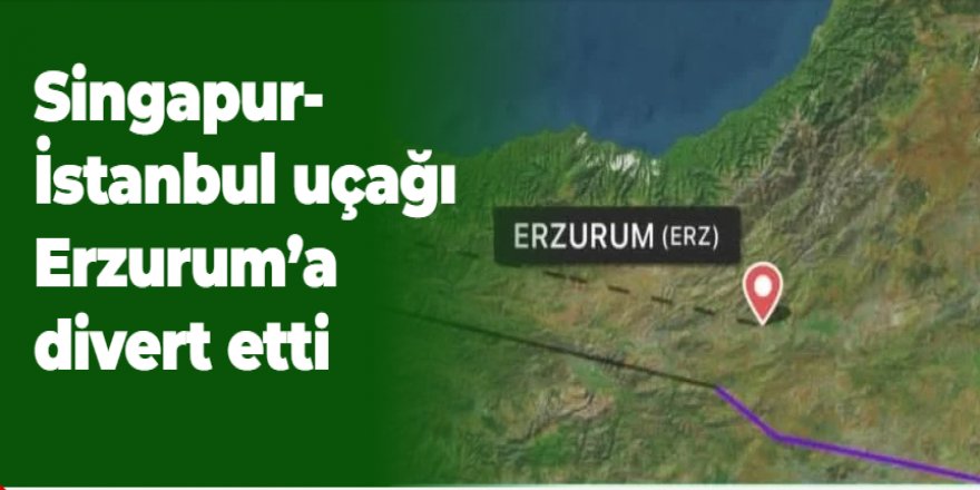 Singapur-İstanbul uçağı Erzurum'a divert etti