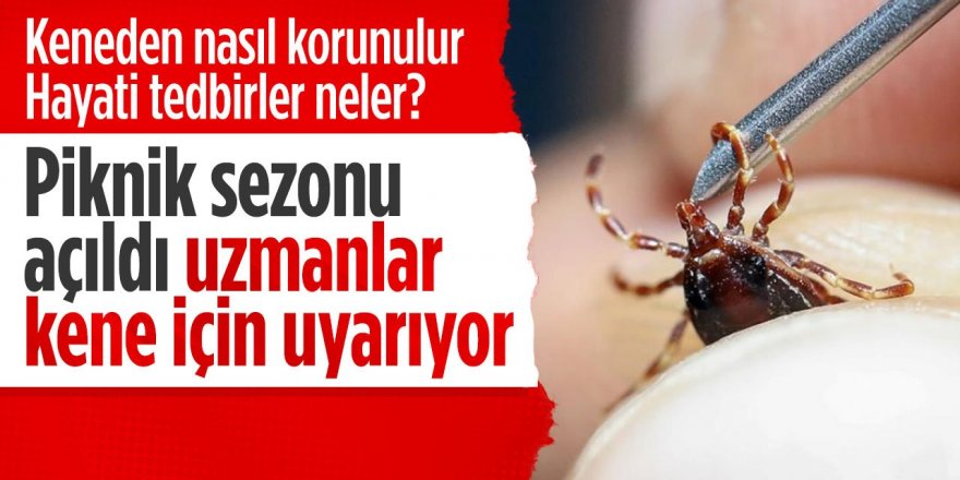 Erzurum'a bahar geldi uzmanlar uyarılara başladı...