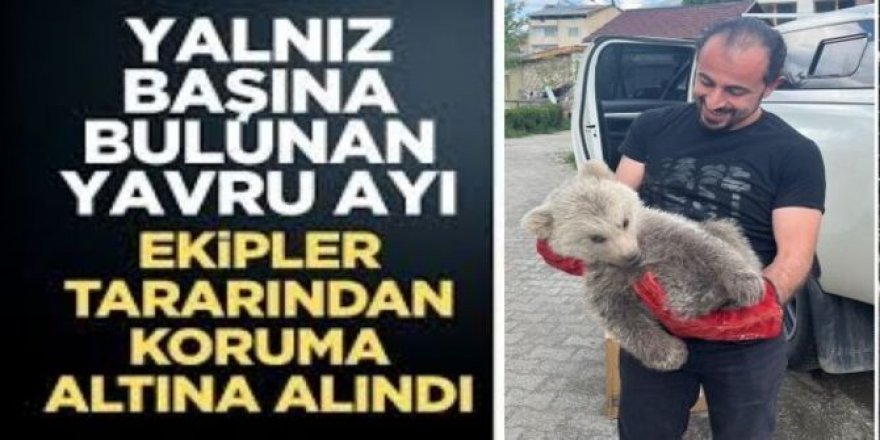 Erzurum'da Çobanların bulduğu ayı yavrusu koruma altına alındı