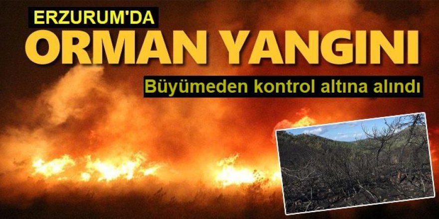 Erzurum'da ormanlık alanda çıkan yangın söndürüldü