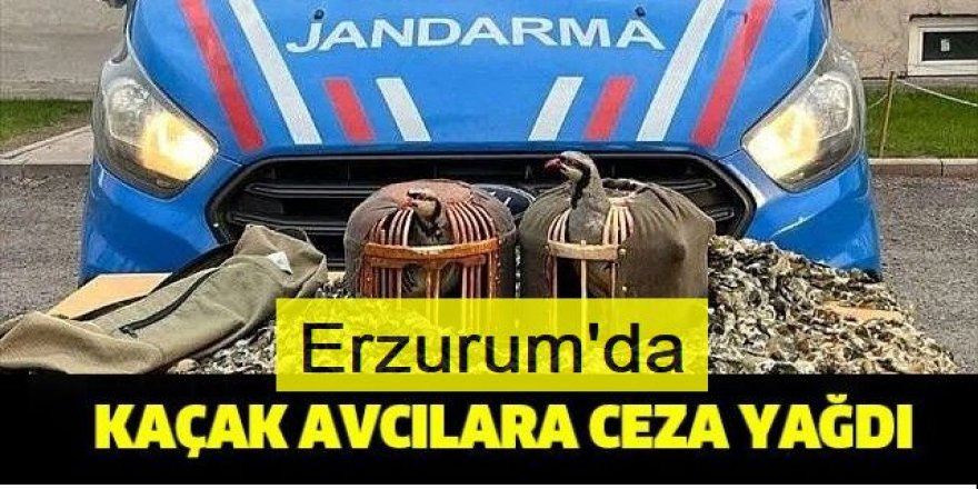 Erzurum'da kaçak ava ceza yağdı