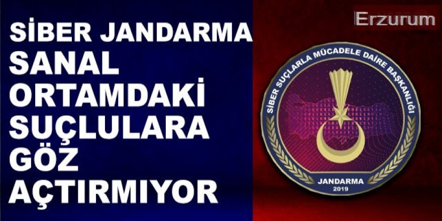 Erzurum Jandarması siber suçlara geçit vermiyor: 263 site