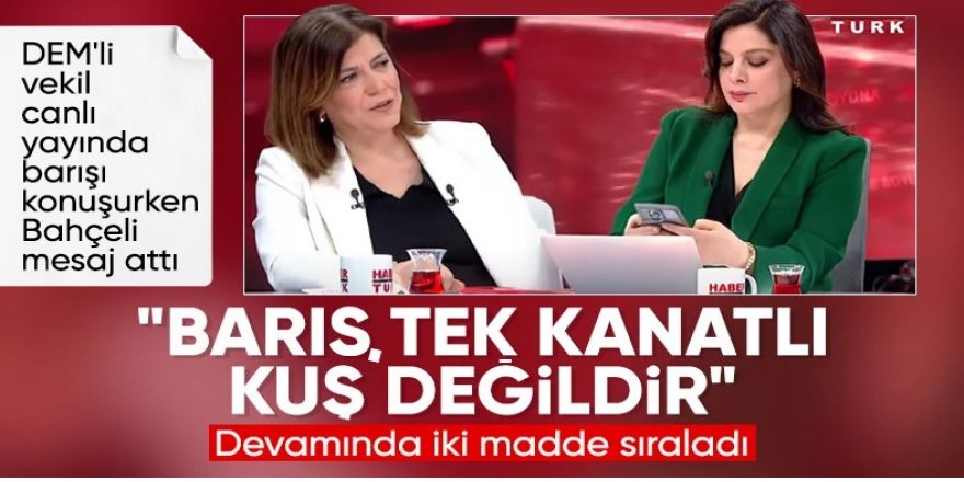 Devlet Bahçeli'den yeni mesaj: Barış tek kanatlı bir kuş değildir