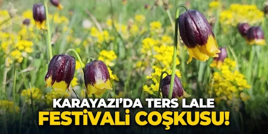 Karayazı’da “Ters Lale Festivali” Düzenlendi