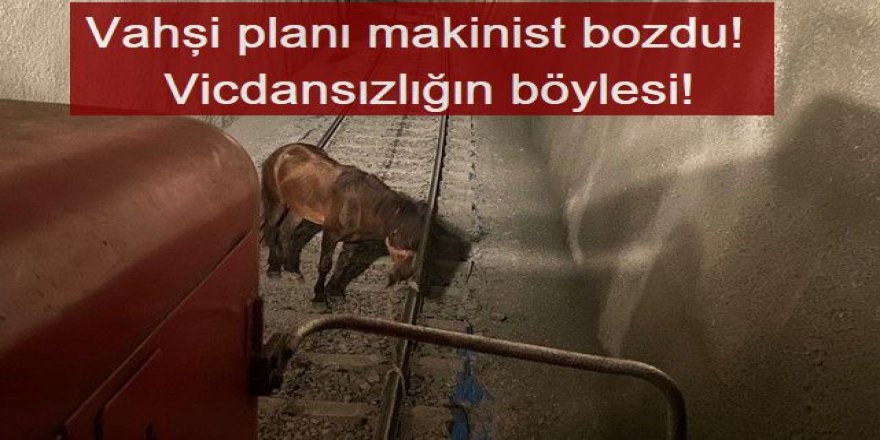Erzurum- Kars Demiryolunda: Vahşi planı makinist bozdu!