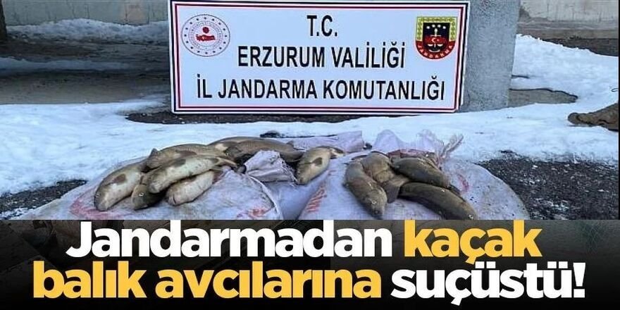 Erzurum'da kaçak balık avına geçit yok