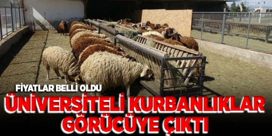 Atatürk Üniversitesinin 'Bilimsel Kurbanlıkları' satışta