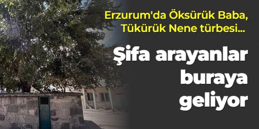 Şifa arayanlar buraya koşuyor: Erzurum'da Öksürük Baba, Tükürük Nene türbesi...