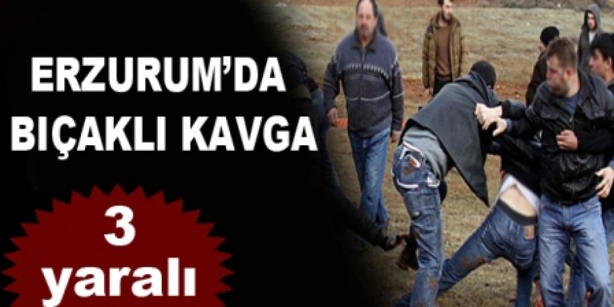 Erzurum'da Alacak verecek nedeniyle çıkan bıçaklı kavgada 3 kişi yaralandı