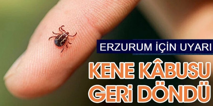 Kabus geri Döndü: Kene bir can daha aldı!