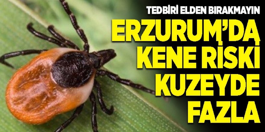 Erzurum Valiliğinden Kene uyarısı