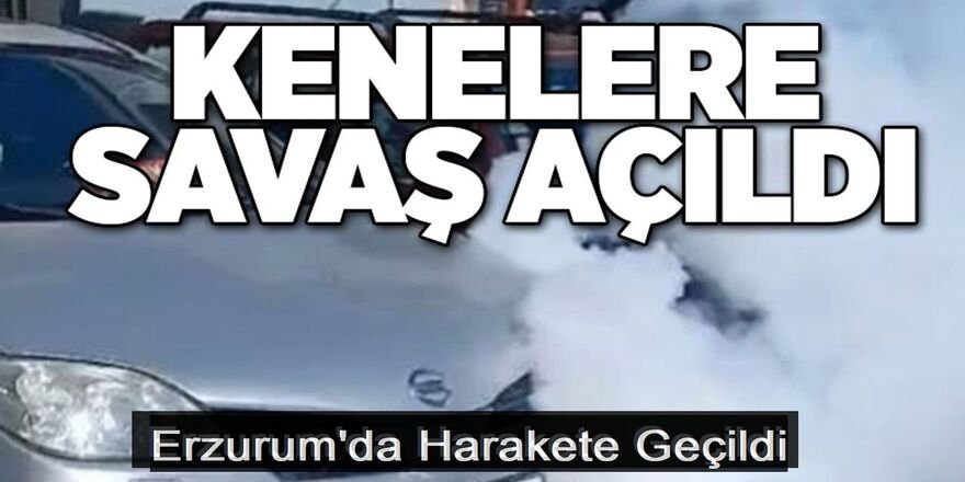 Erzurum'da Büyükşehir kenelere savaş açtı