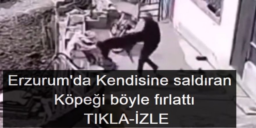 Erzurum'da Kendisine saldıran köpeği böyle fırlattı