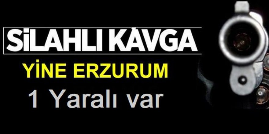 Erzurum'da silahlı kavga: 1 yaralı
