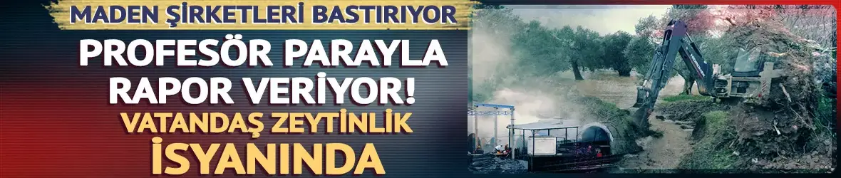 Maden şirketleri bastırıyor, profesör parayla rapor veriyor