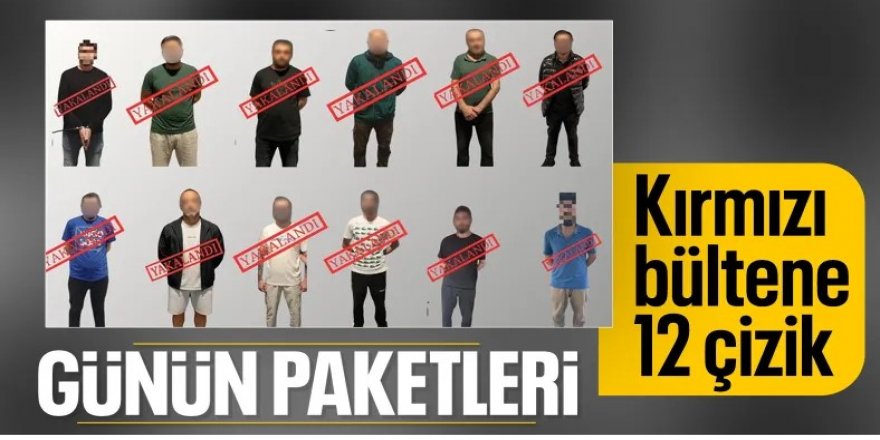 Aranan 12 suçlu Türkiye'ye getirildi