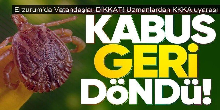 Erzurum'da Uzmanlardan KKKA vakalarına karşı uyarı!