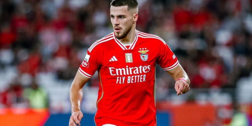 Beşiktaş'ın ilk transferi David Jurasek hakkında bilgiler