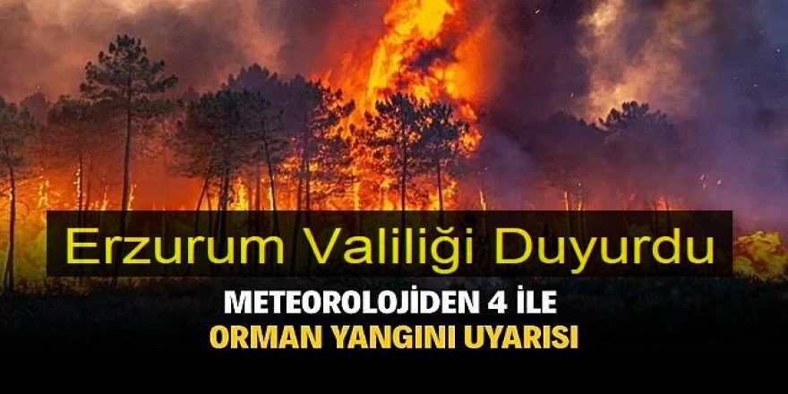 Erzurum Valiliği Duyurdu: Meteorolojiden orman yangını uyarısı!