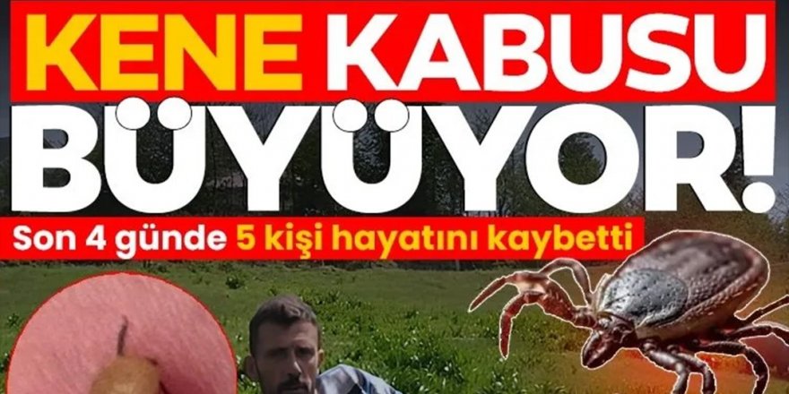Kene kabusu yayılıyor!