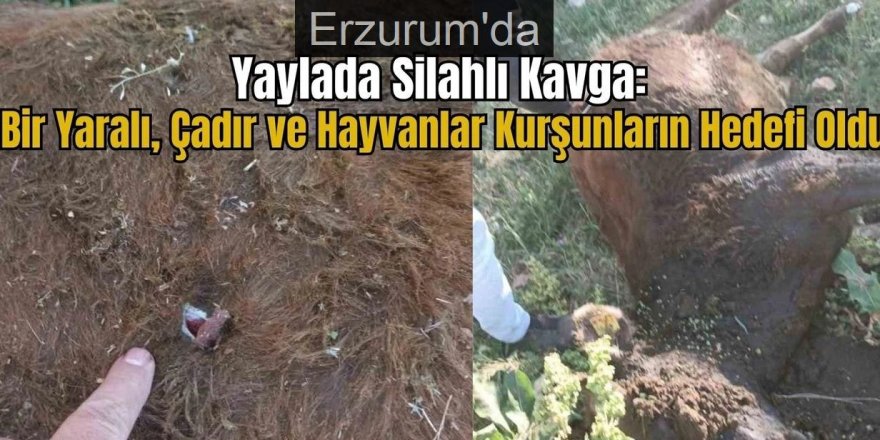 Erzurum'da Yayla kavgasında silahlar konuştu