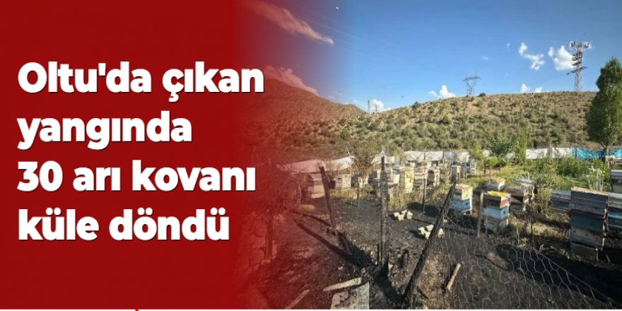 Anız yangınında arı kovanları zarar gördü