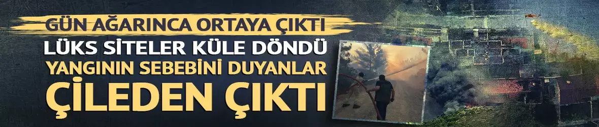 Orman yangınlarının boyutu gün ağarınca ortaya çıktı!