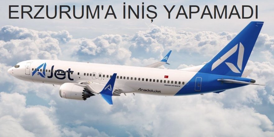 İstanbul uçağı, Erzurum'a iniş yapamadı
