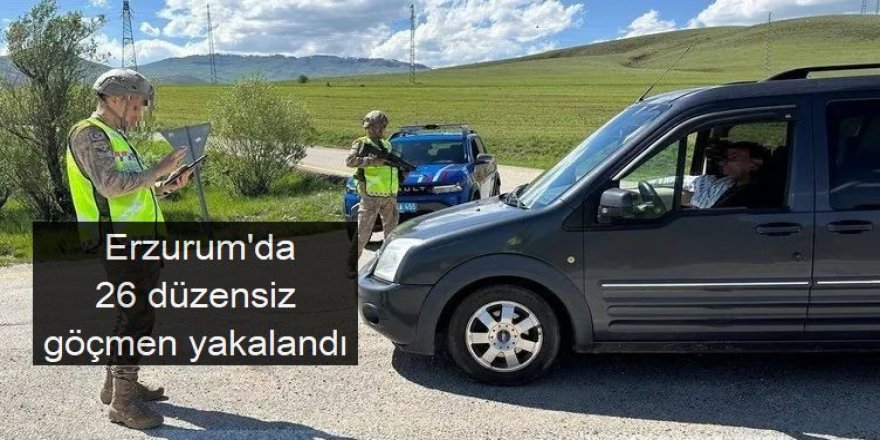Erzurum'da düzensiz göçmen operasyonu