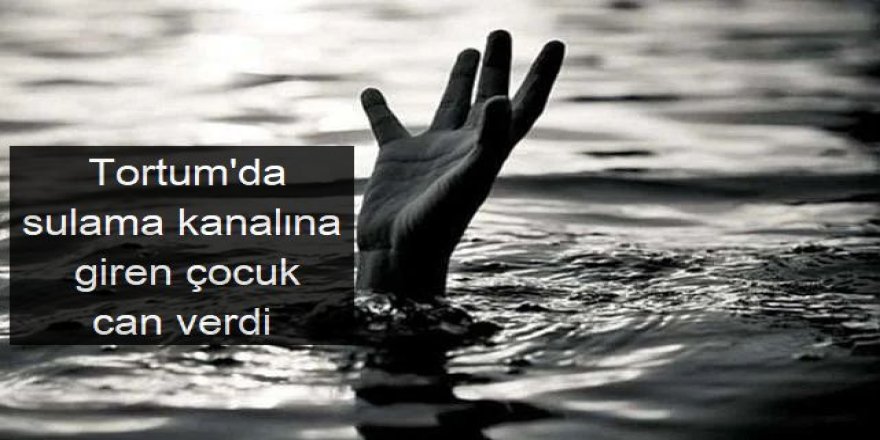 Tortum'da sulama kanalına giren çocuk can verdi